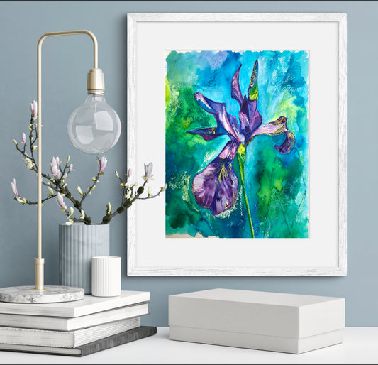 Midsummer Iris, 24x30cm