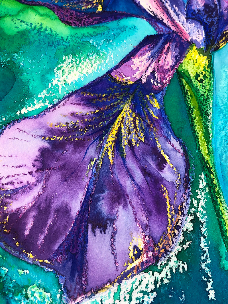 Close-up detail taken from Midsummer Iris original painting that shows the oil pastel and watercolour textured details.