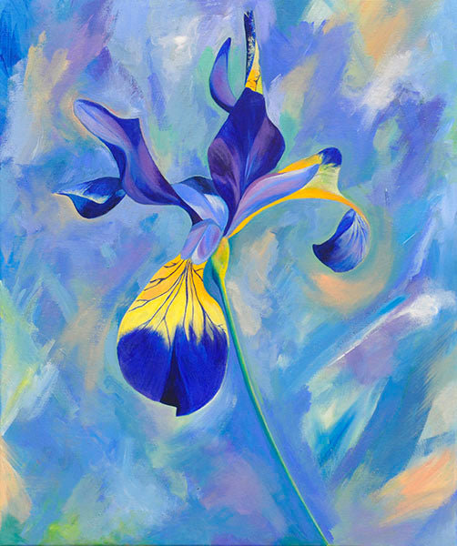 Blue Iris original floral acrylic painting measuring 50x60cm