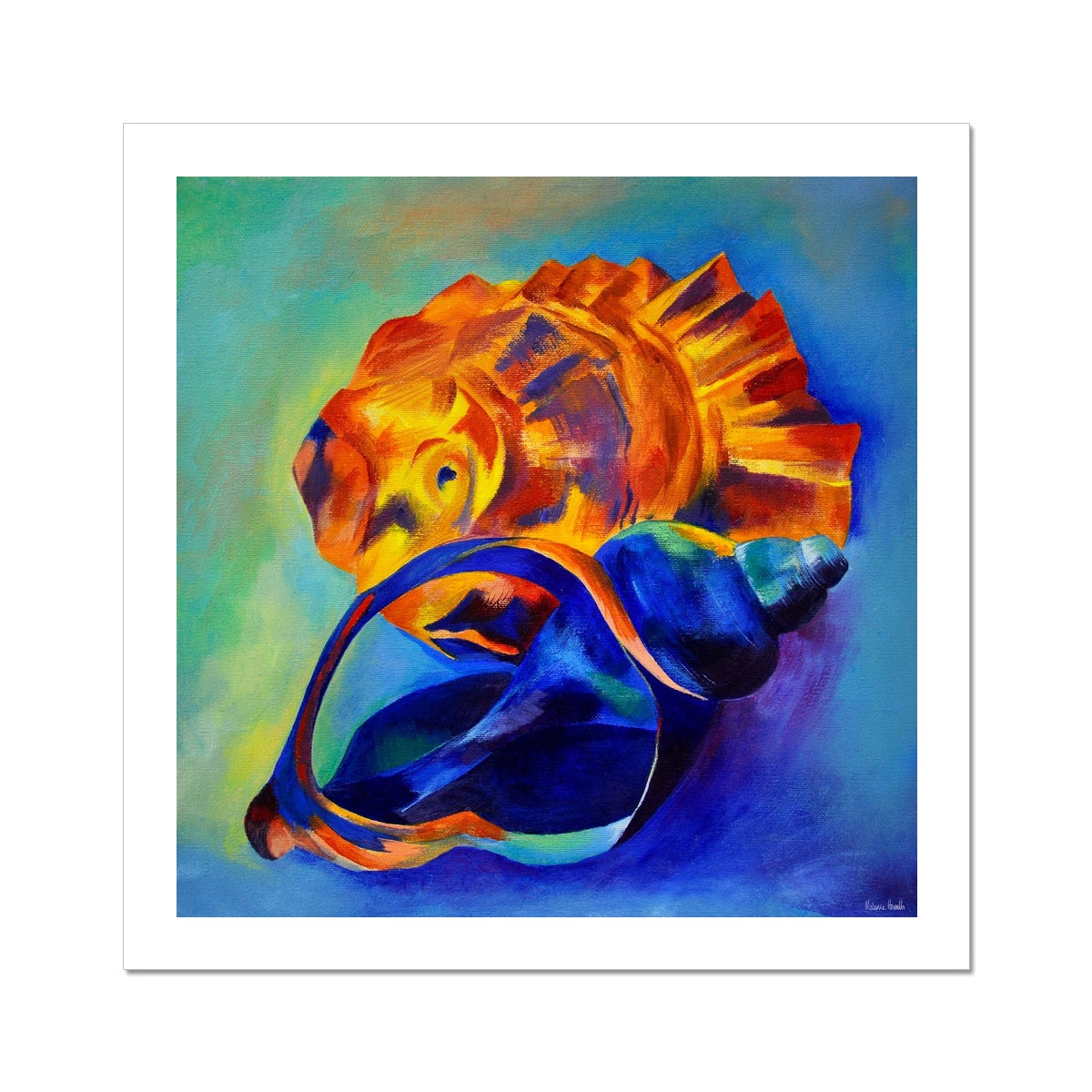 The Beachcomber colourful square fine art print of two shells shown with a white border around it.